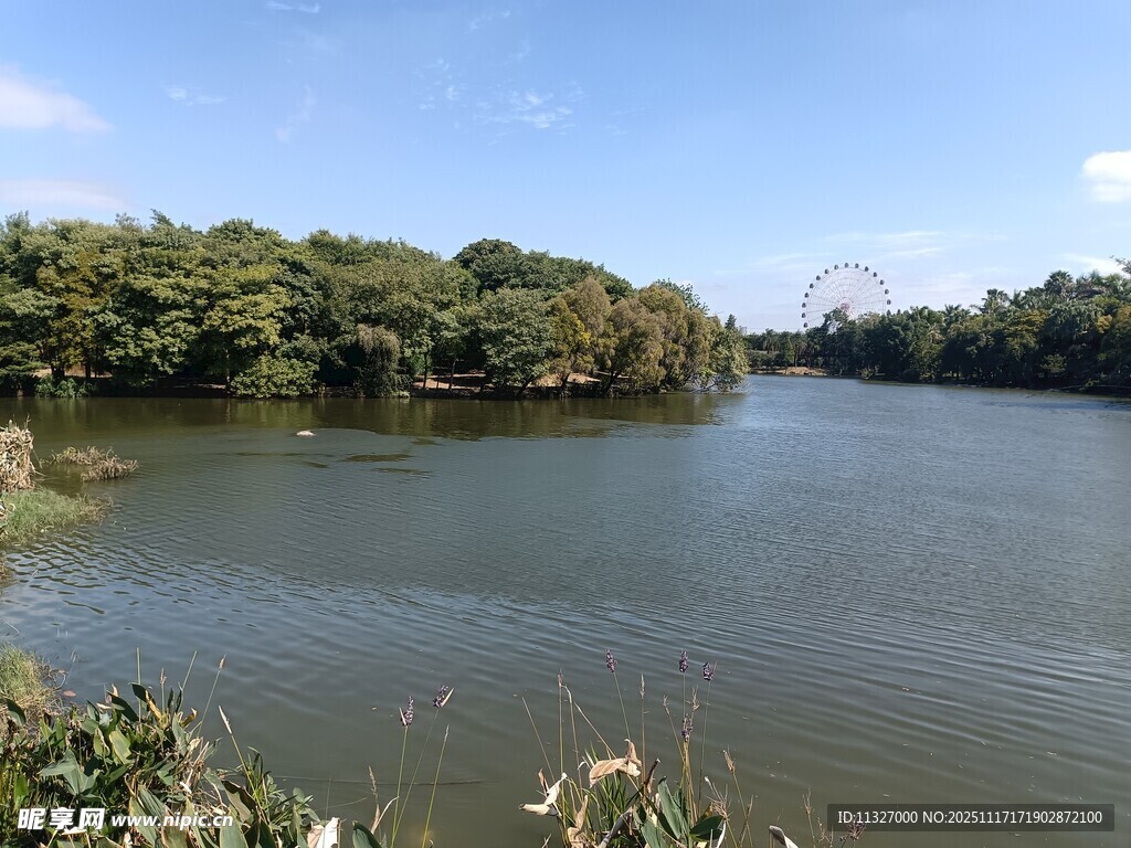 宁静河畔自然风光