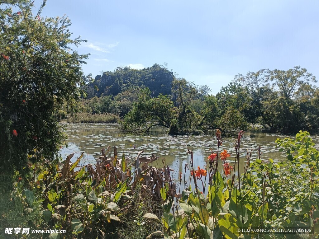 湖畔绿植环绕的自然景致