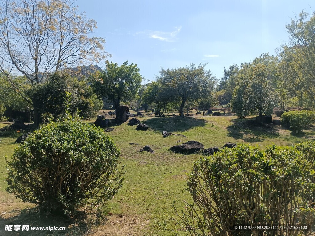 户外绿意盎然的园林景观