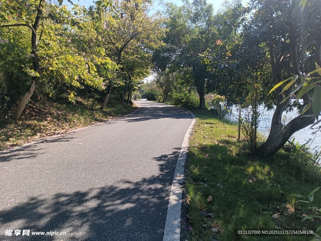 河畔林间幽静小路