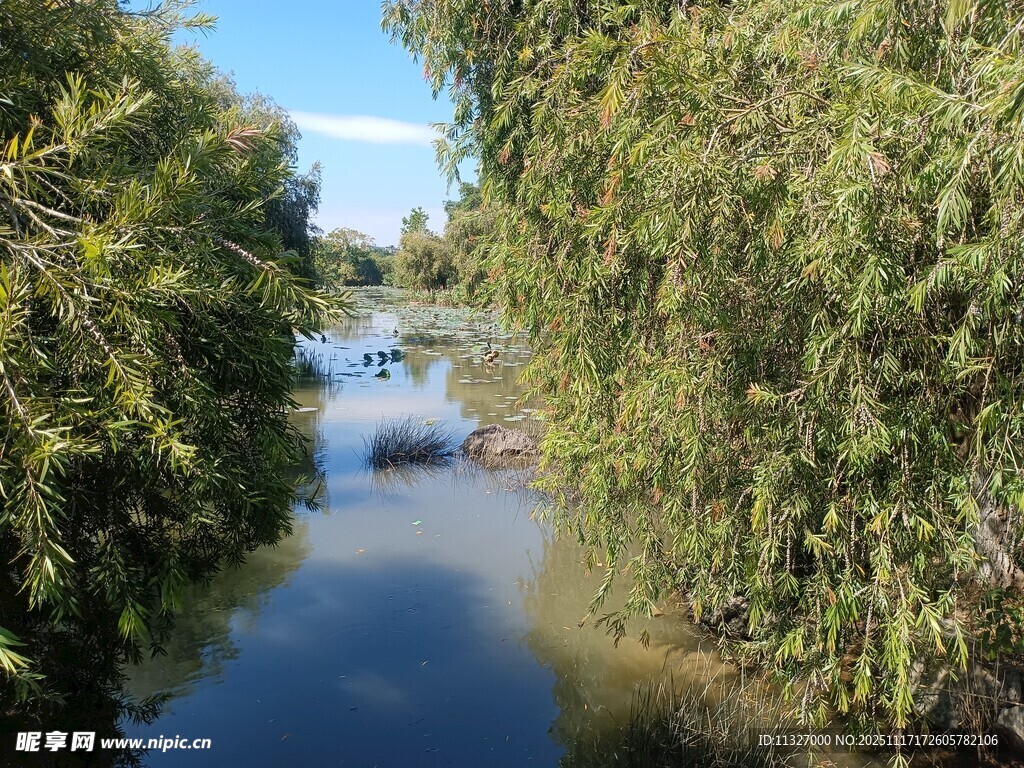 河畔绿树环绕的宁静水道