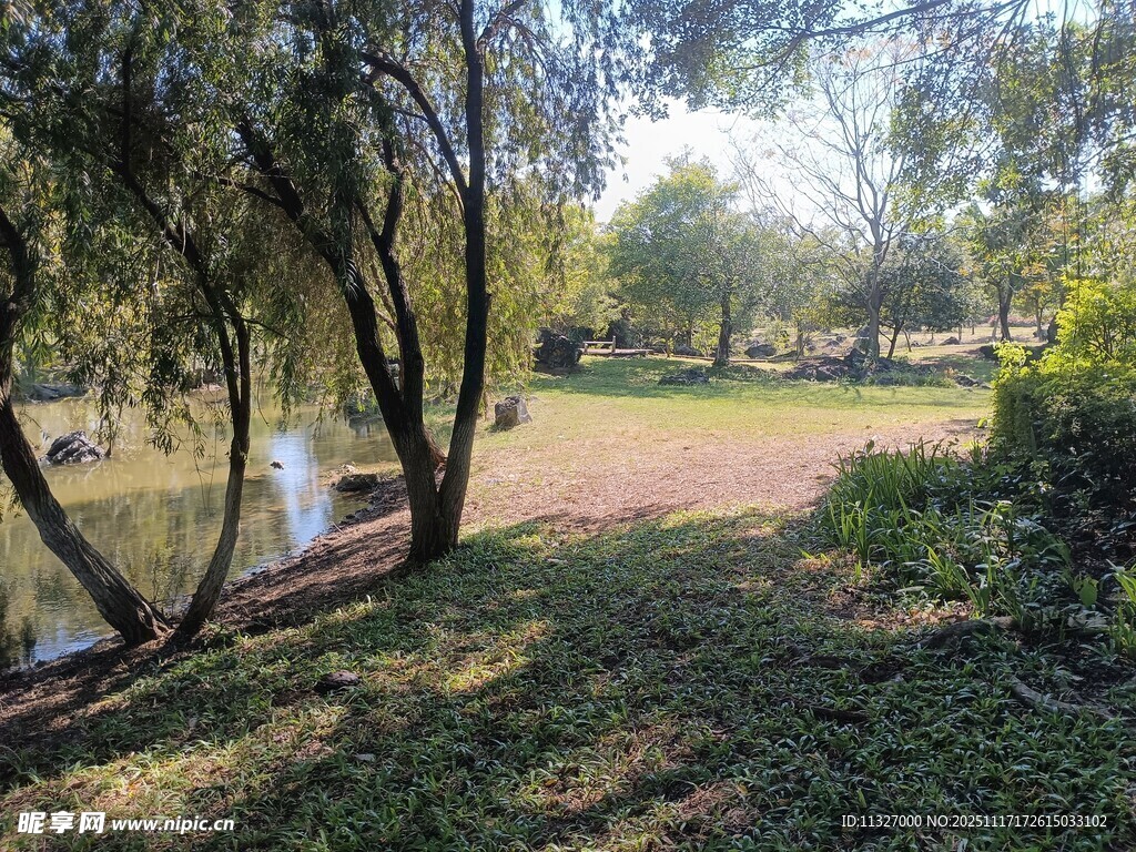 宁静湖边的自然风景
