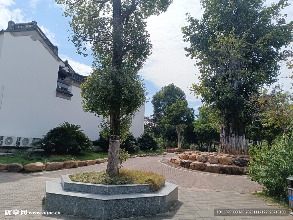 庭院中式景观树木景致