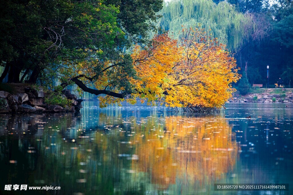 秋日湖畔斑斓美景