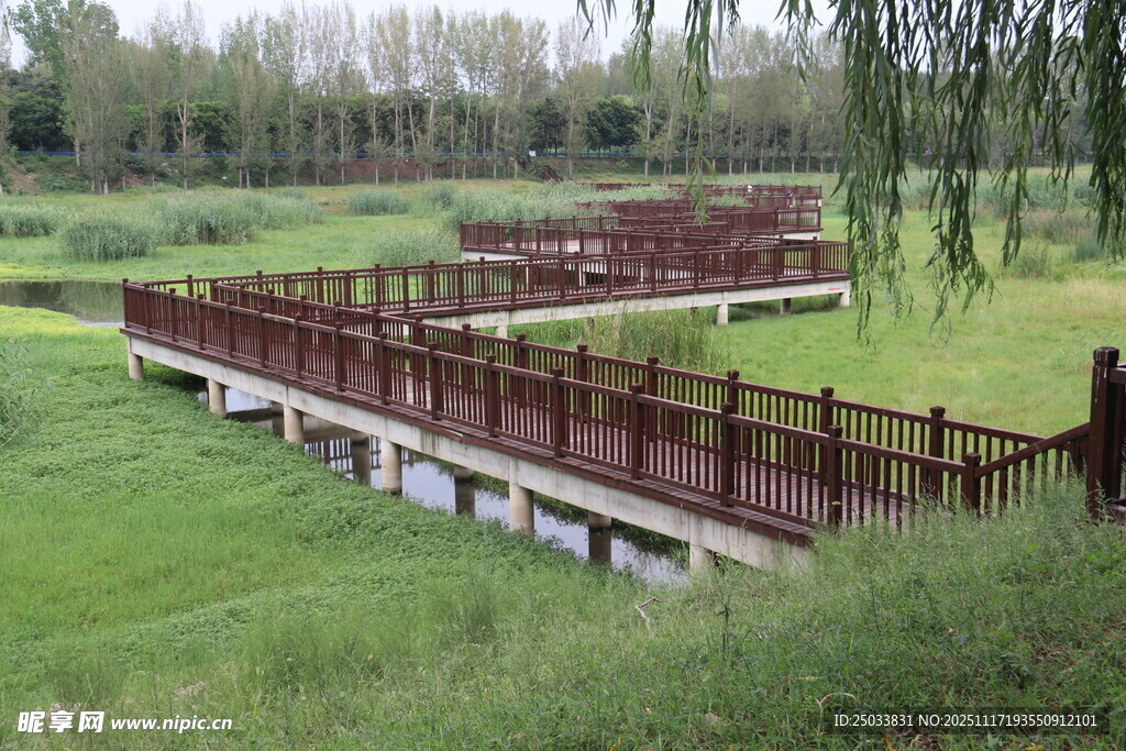 田园木栈道景观