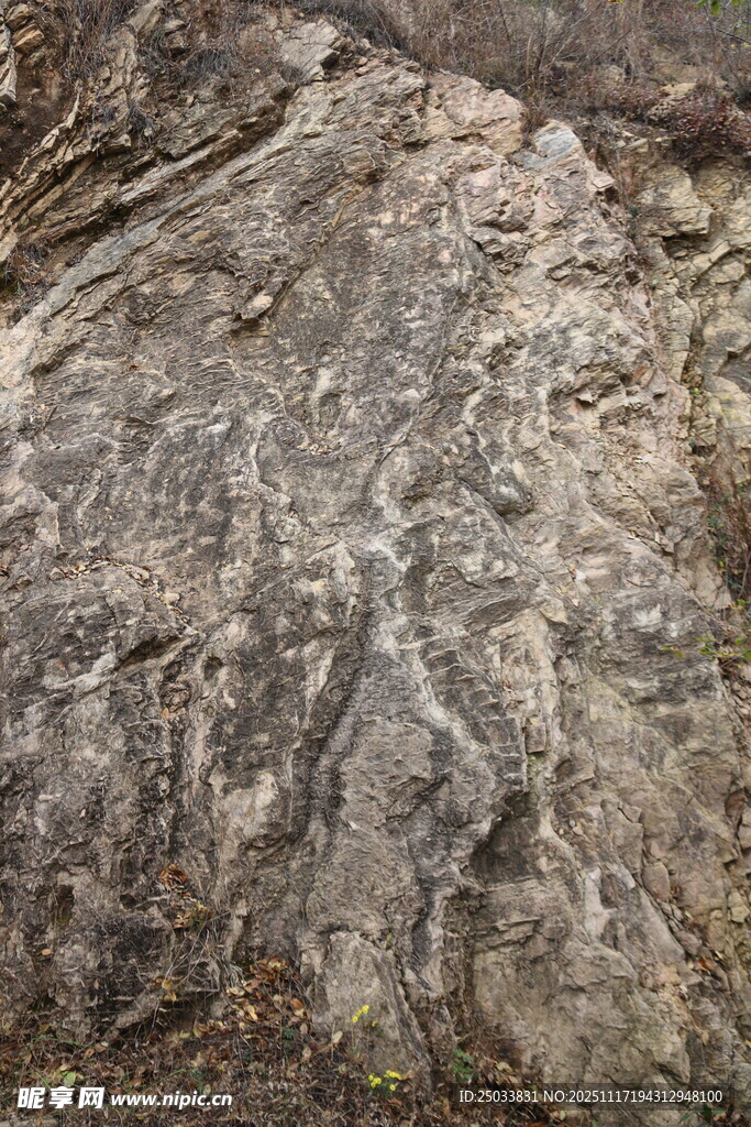 粗糙纹理的褐色岩石表面