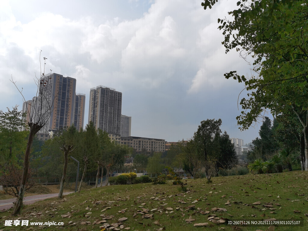 城市边缘的绿地景观