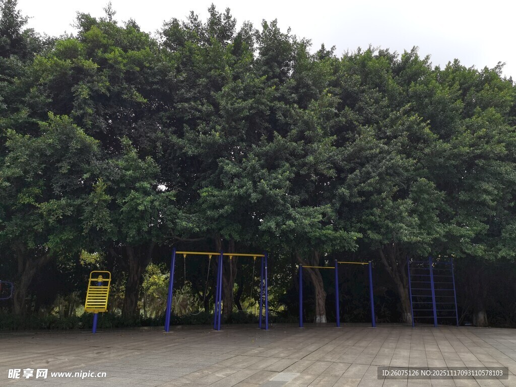 绿树环绕的户外休闲场地