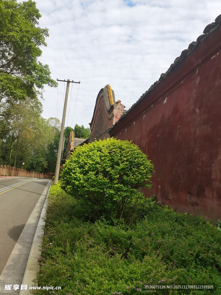 红墙边的绿植与道路景观