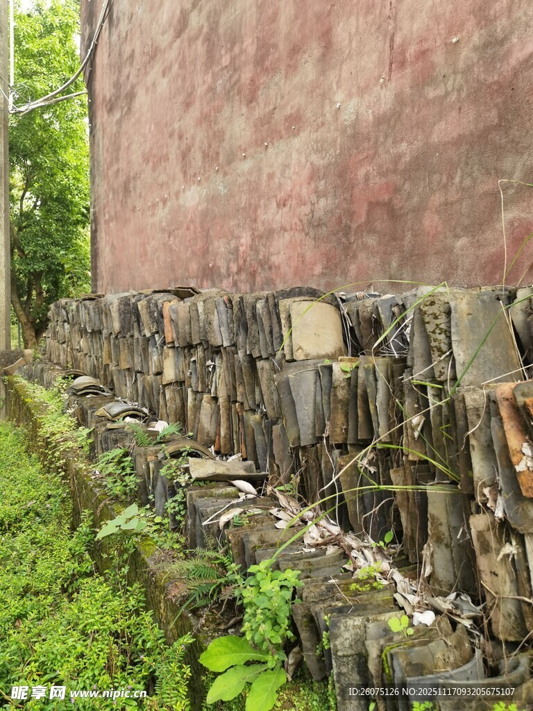 石砌矮墙旁的绿植景致