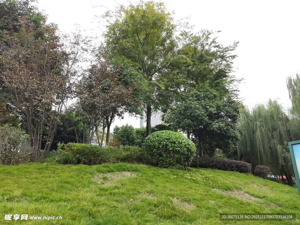 绿意盎然的户外园林景观