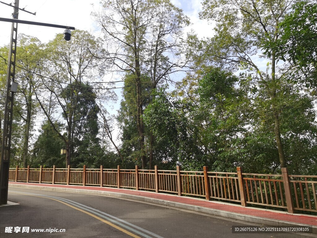 道路旁的木质围栏与绿树