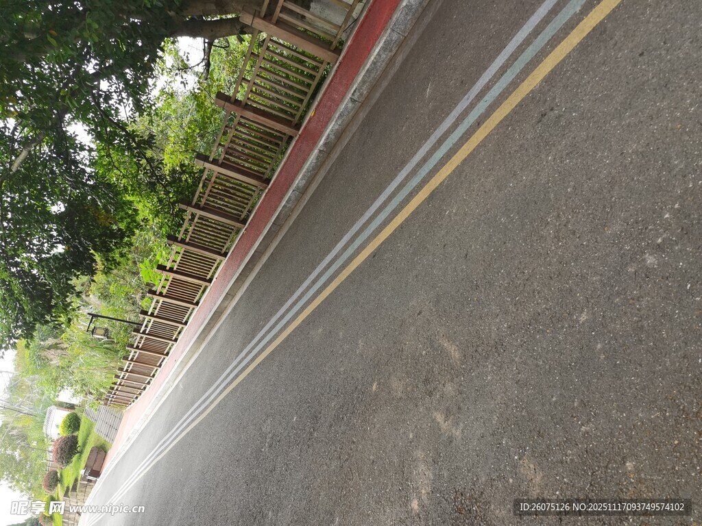 户外道路旁的绿树景象