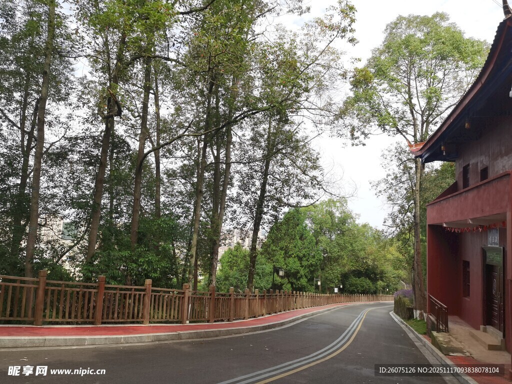古建旁的林荫蜿蜒道路