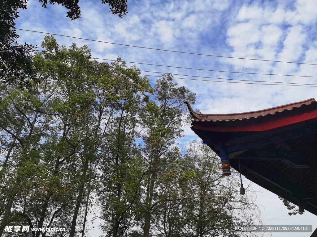 古建檐角与葱郁林木