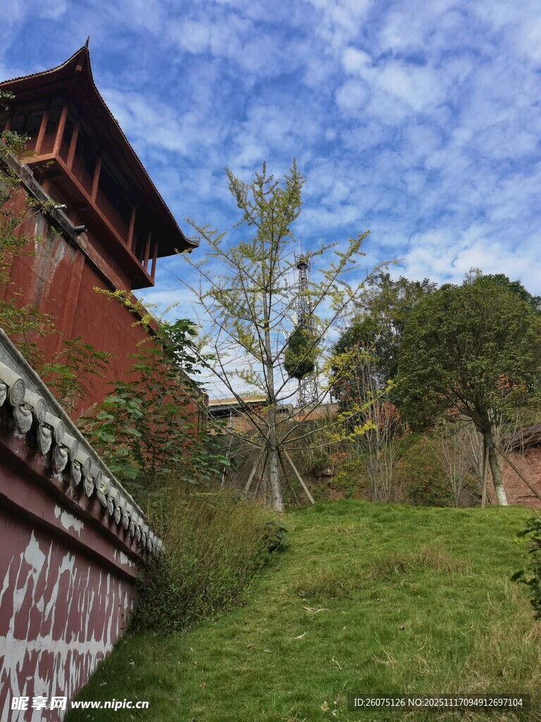 古建红墙下的绿意景致