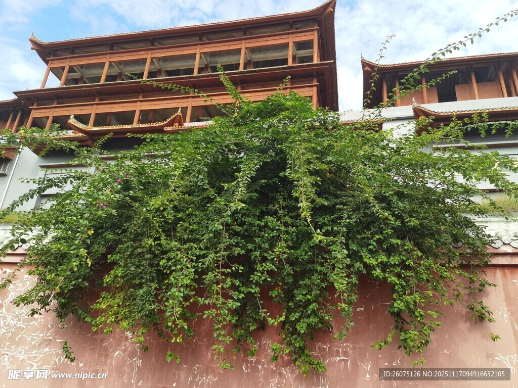 中式建筑旁的繁茂绿植