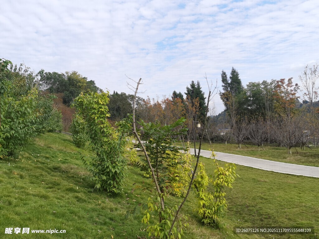 郊外绿意盎然的自然小路