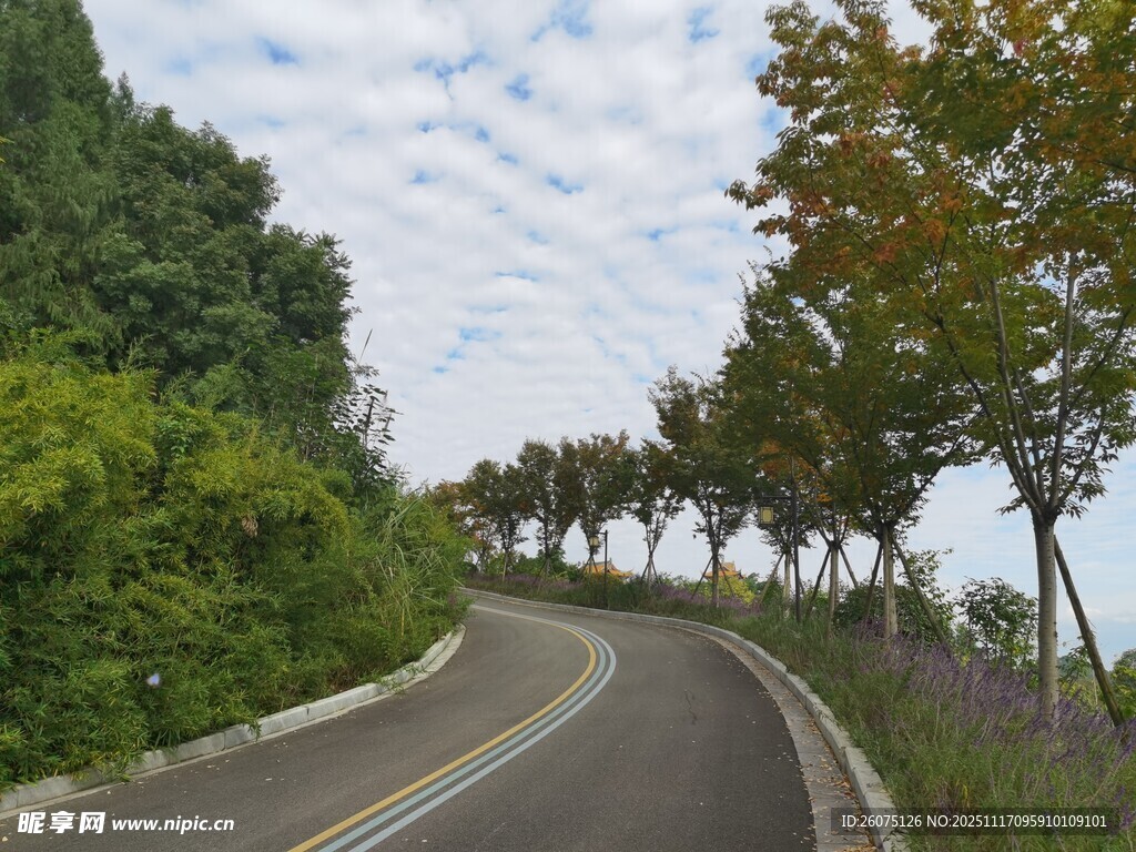 蜿蜒公路旁的葱郁景致