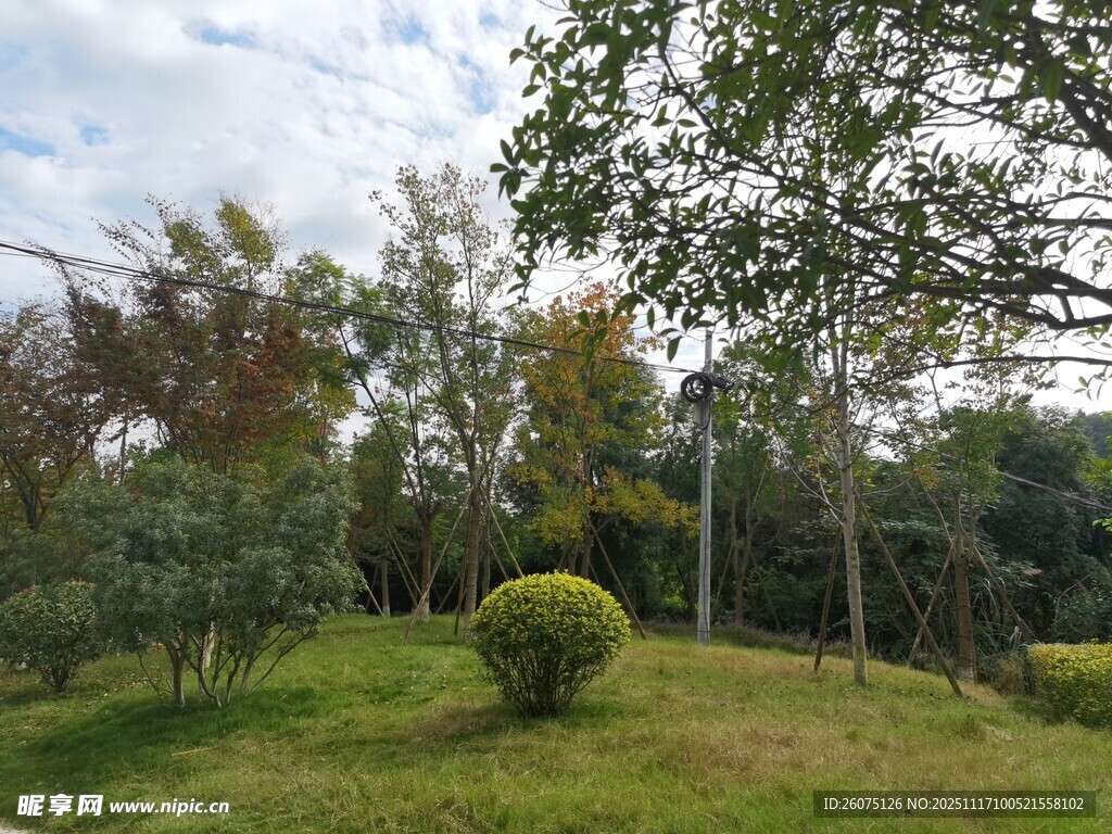 绿意盎然的户外园林景观