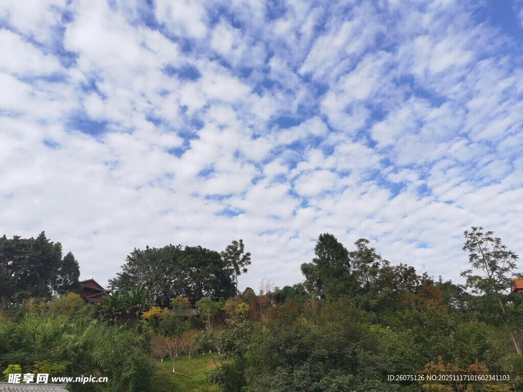 蓝天白云下的绿意景致