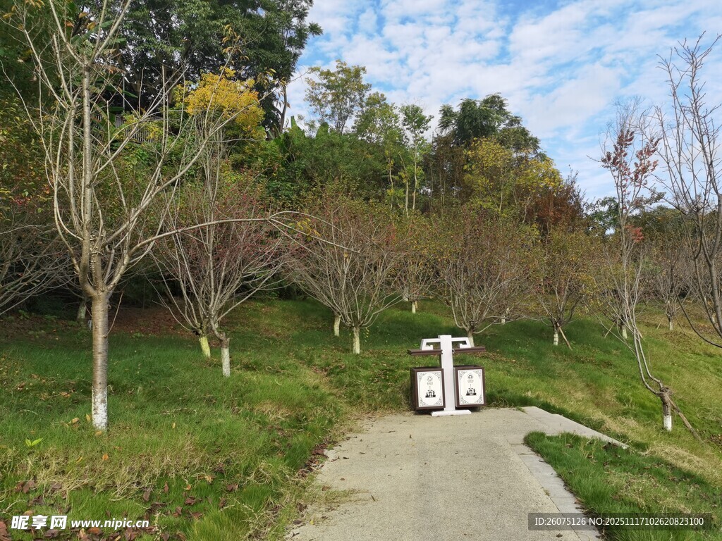 公园小径旁的户外电箱设施