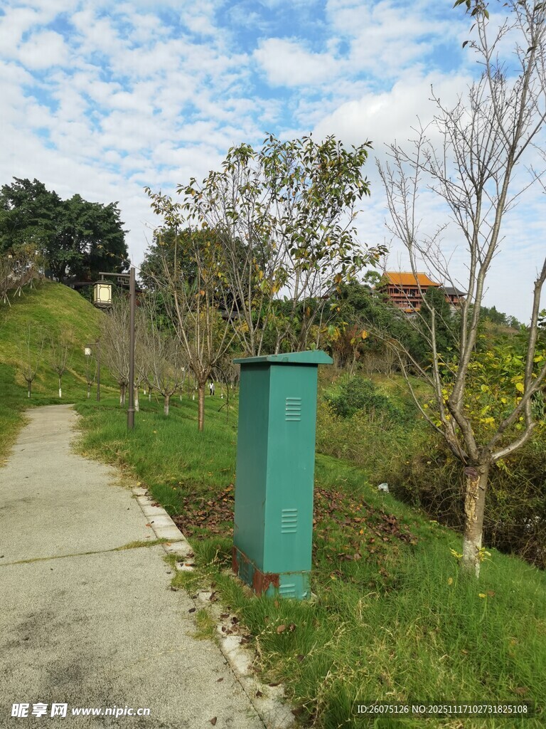 小径旁的绿色户外垃圾桶