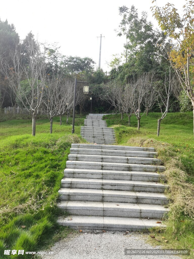 林间石阶小道绿意盎然