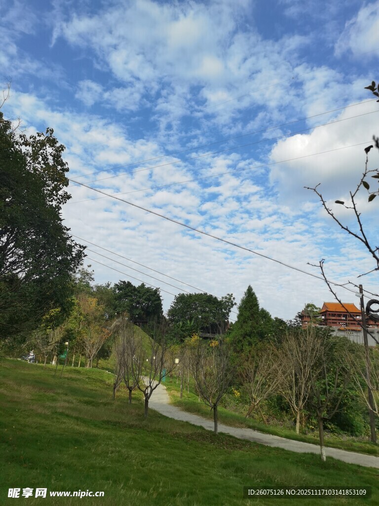 郊外绿地蓝天美景