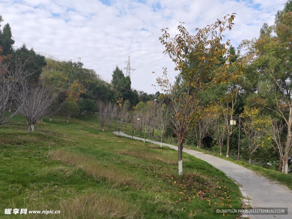 秋日林间蜿蜒小径