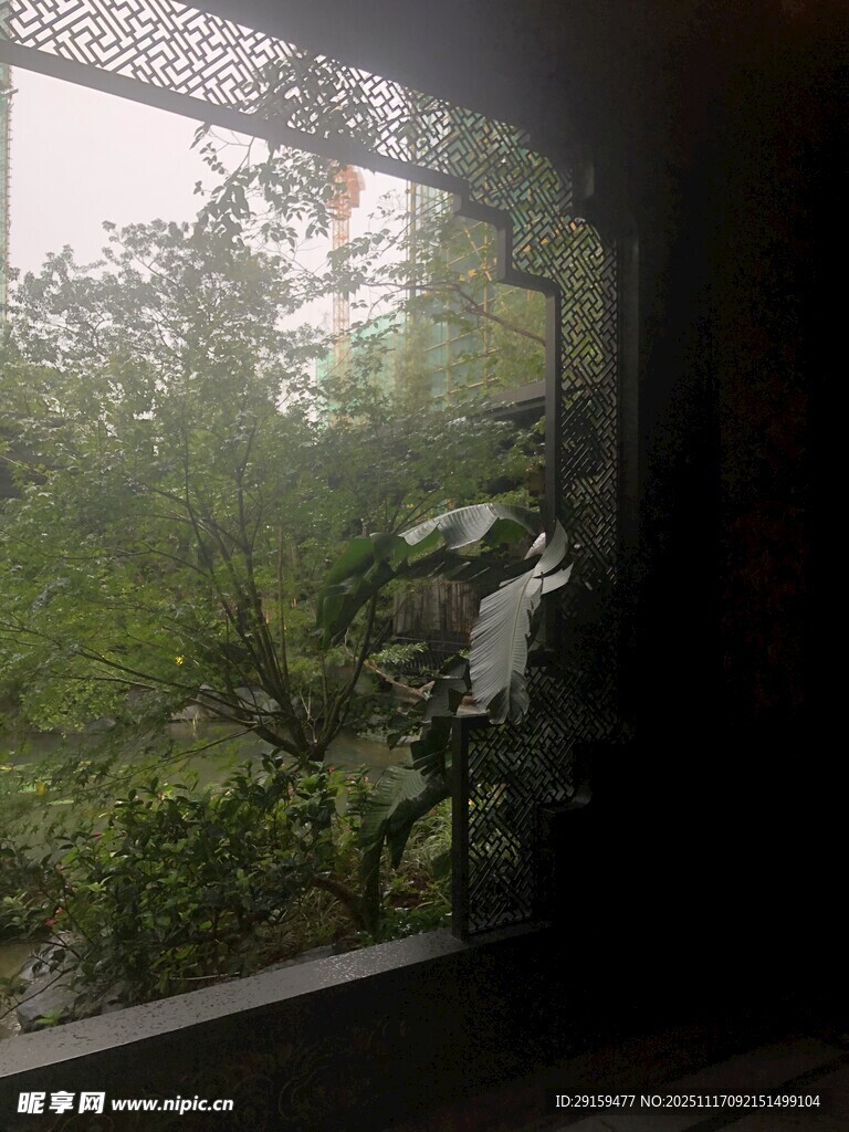 透过窗户看绿意盎然景色