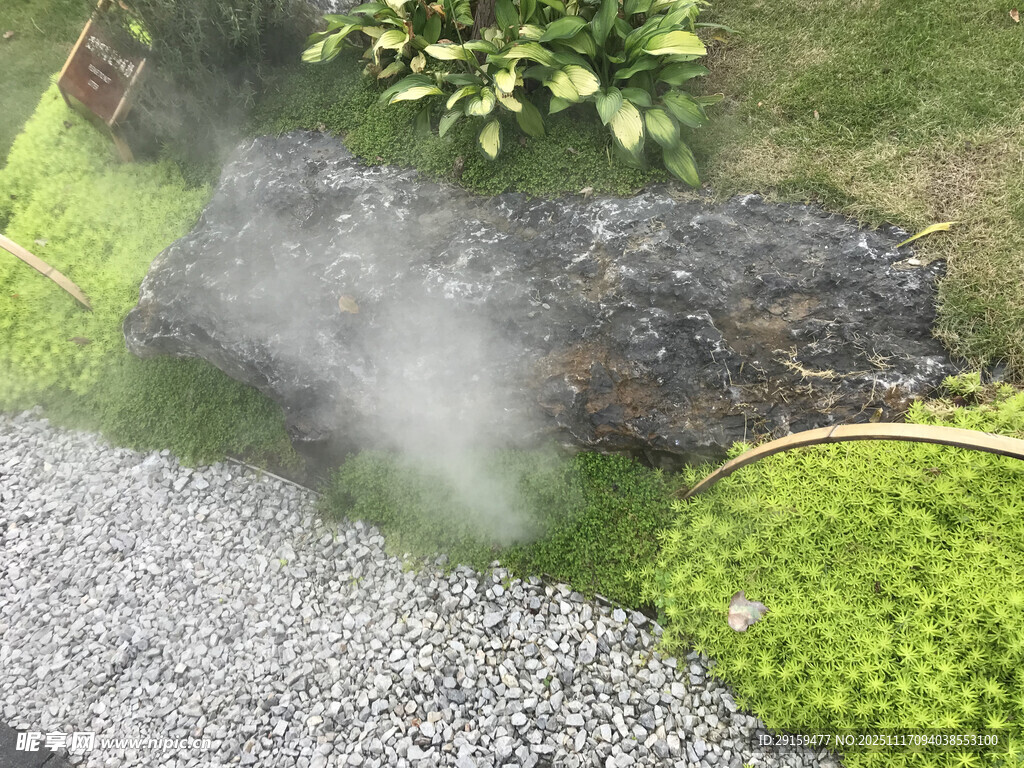 花园中雾化装置营造朦胧美