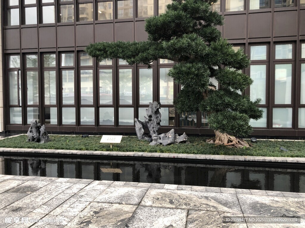 城市中静谧的庭院景观