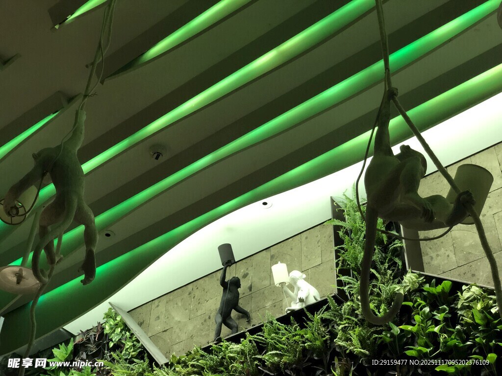 室内绿植与灯光装饰景观