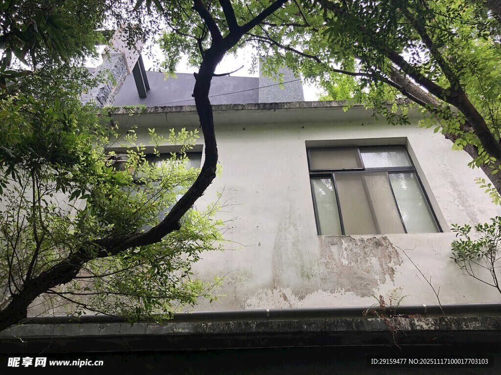 绿荫环绕的古朴白色房屋