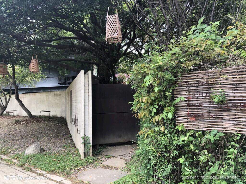 庭院角落绿植环绕景象