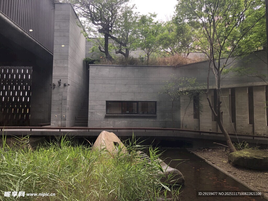 现代庭院景观一角