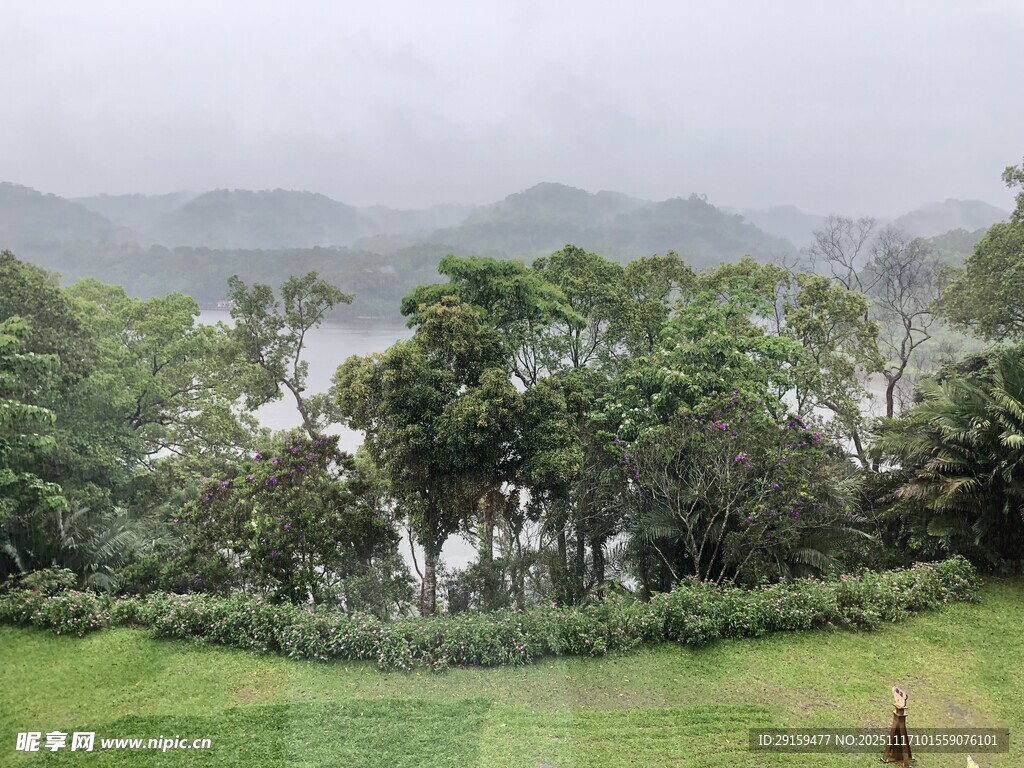 雨中山林景色