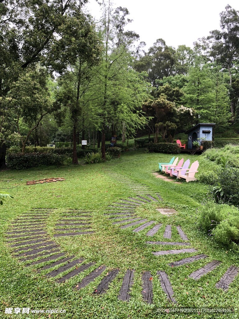 宁静庭院中的户外休闲场景