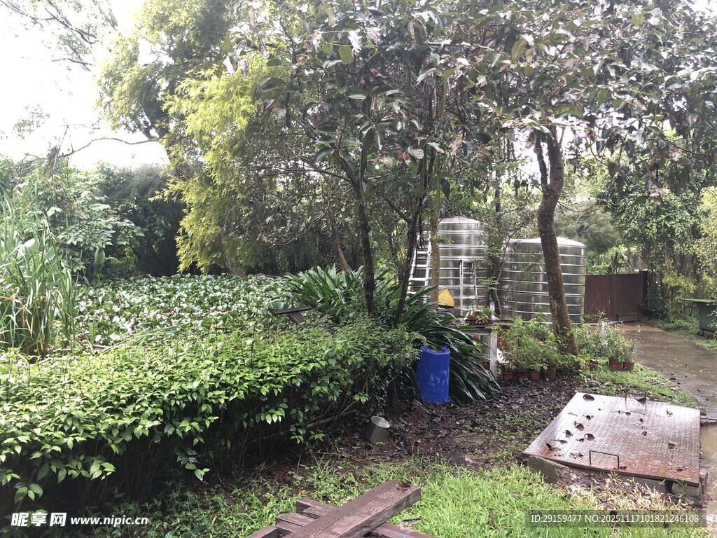 庭院绿植景观一角