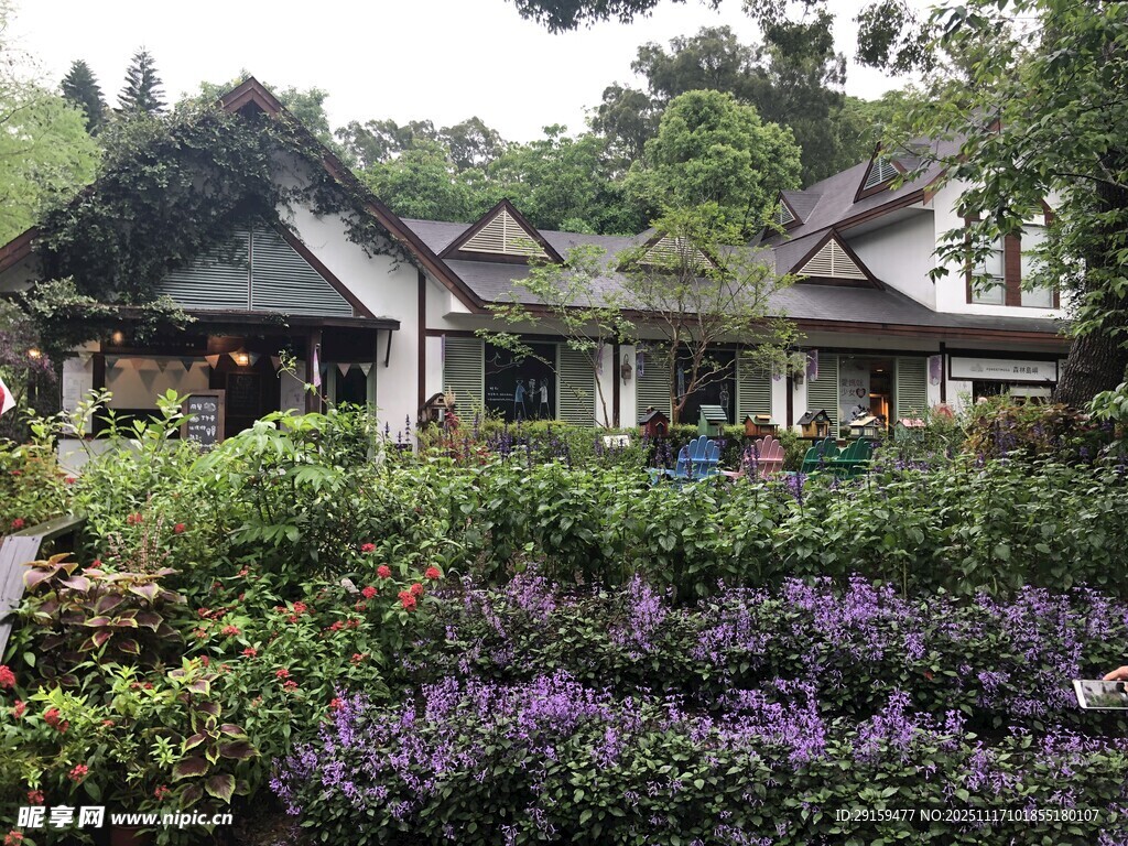 中式庭院繁花绿植环绕