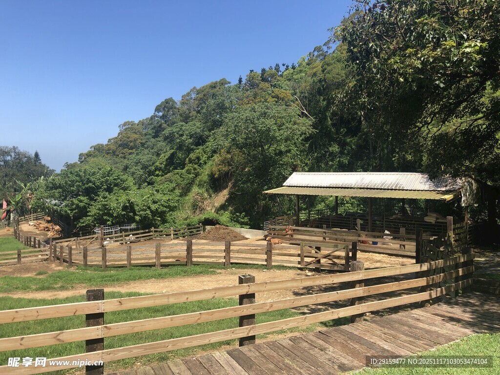 乡村木质围栏景观