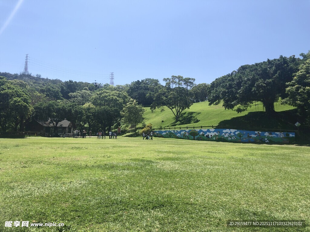 绿意盎然的开阔草地景观