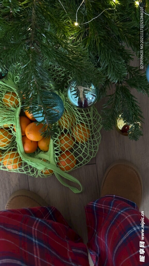 圣诞树下的温馨休闲时刻