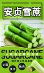 青皮雪蔗