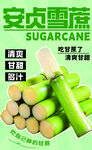 安贞雪蔗