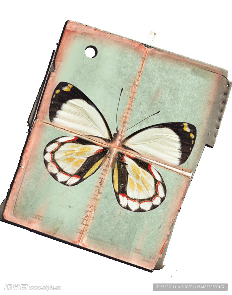 复古风蝴蝶装饰卡片