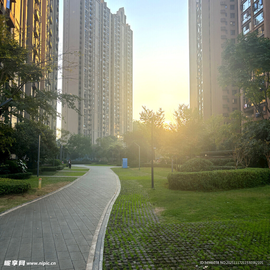 阳光照耀下的城市小区道路