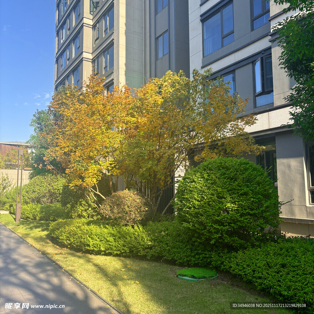 小区绿植环绕的优美景致