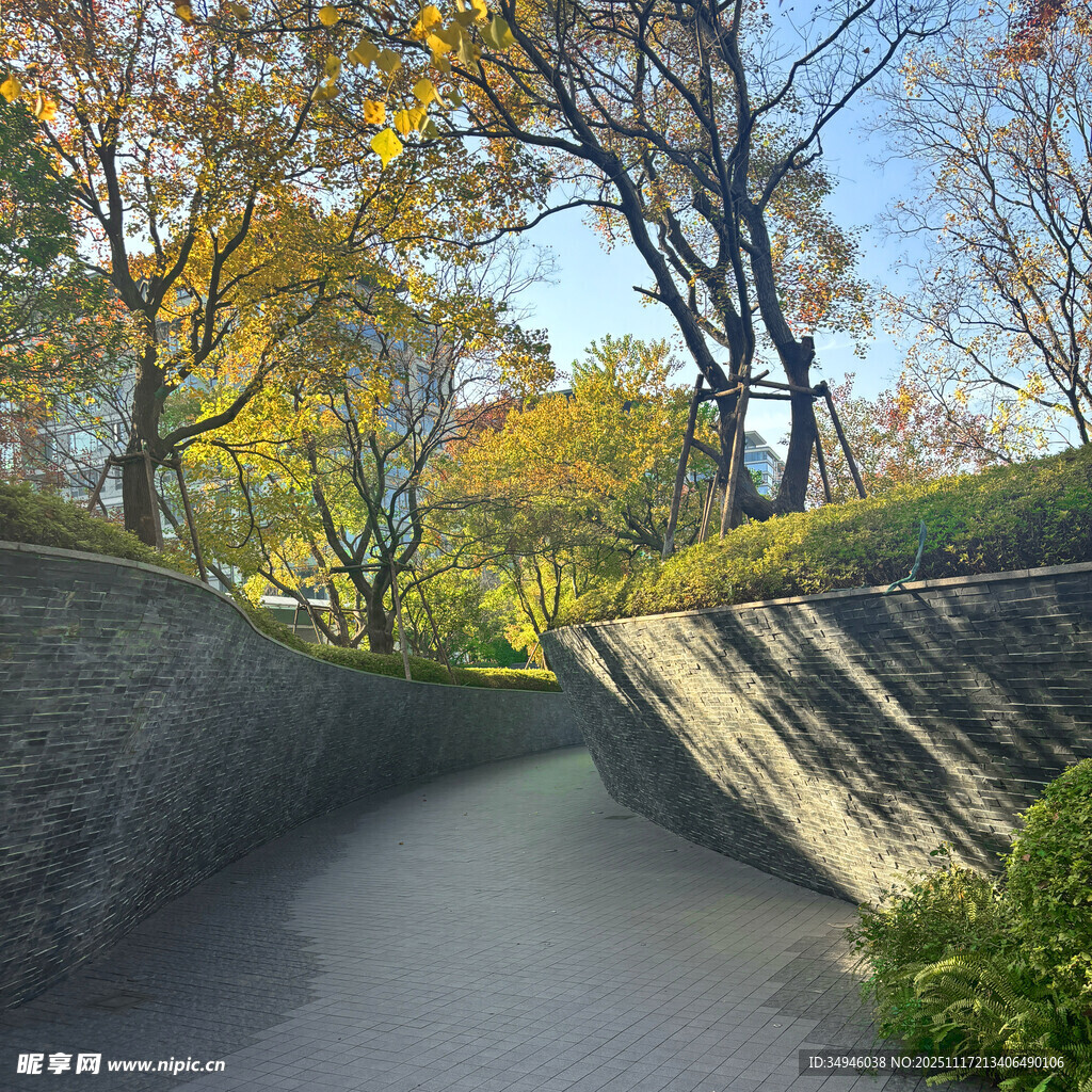 秋日林间幽静小道